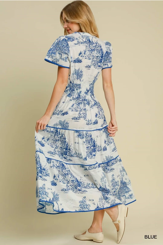 Blue Toile Maxi Dress