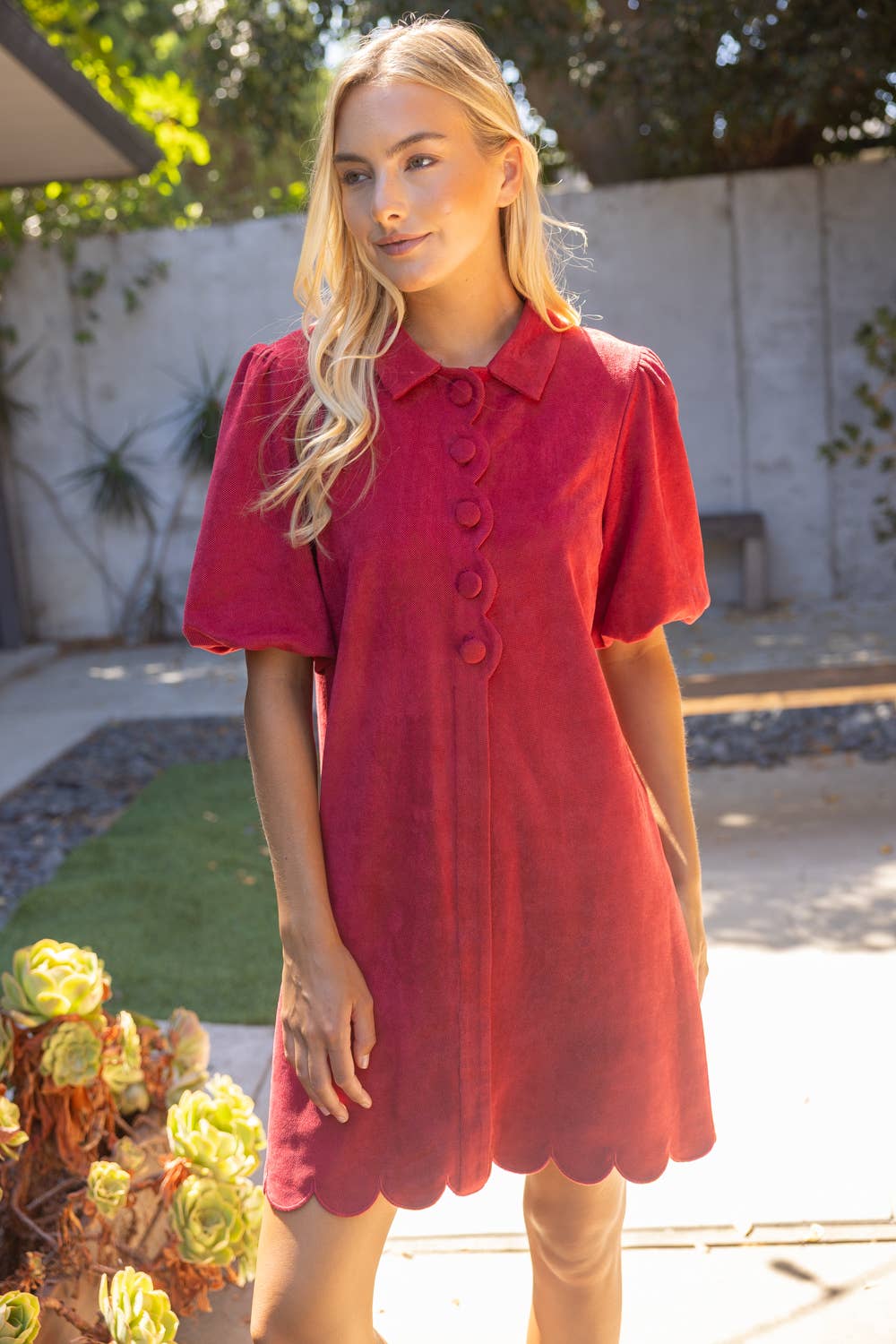 Scallop Detail Cover Button Collared Shift Dress: Burgundy