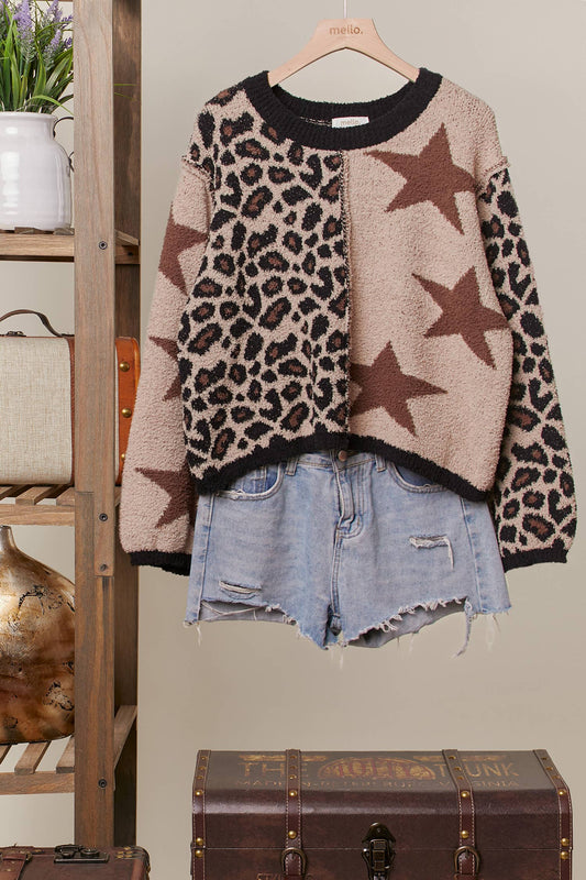 Wild Star Sweater ⭐️