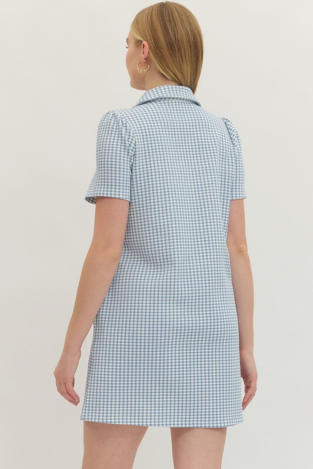 Southern Charm Gingham Dress