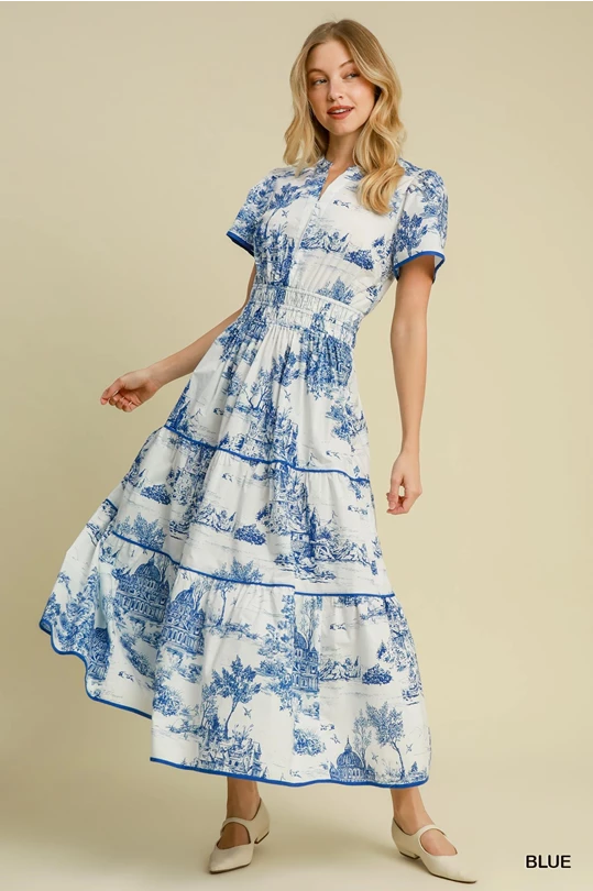 Blue Toile Maxi Dress