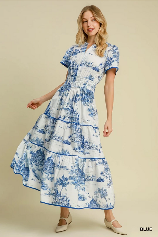 Blue Toile Maxi Dress