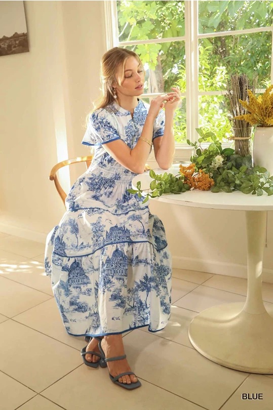 Blue Toile Maxi Dress