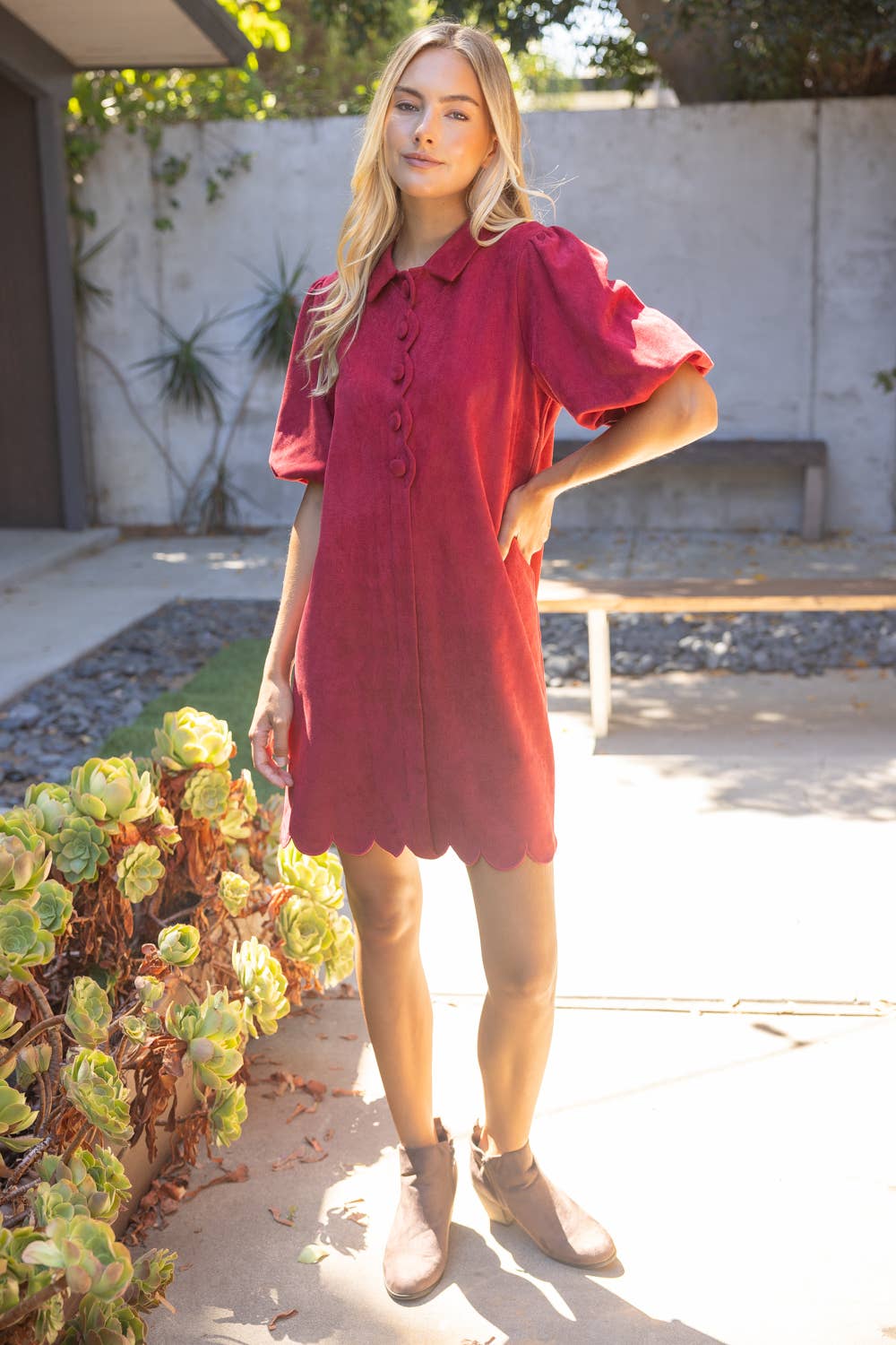 Scallop Detail Cover Button Collared Shift Dress: Burgundy
