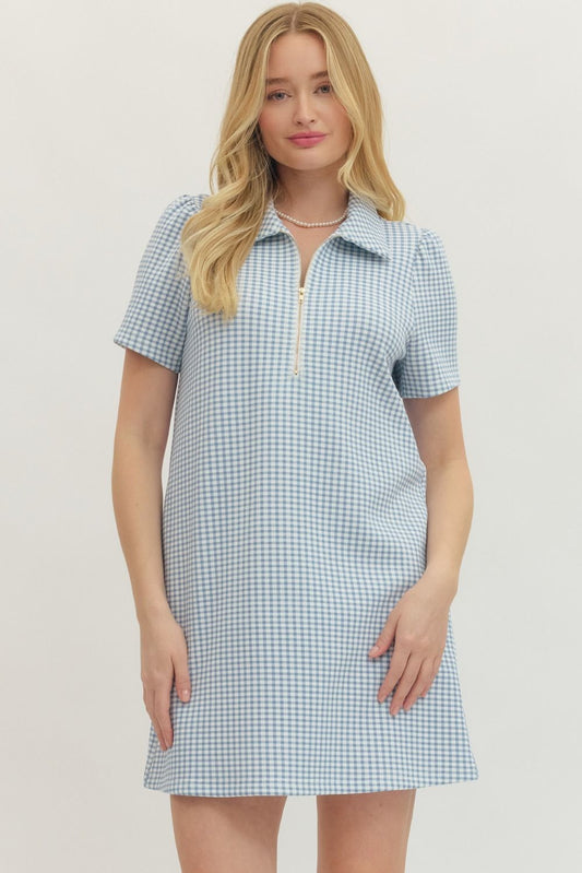 Southern Charm Gingham Dress