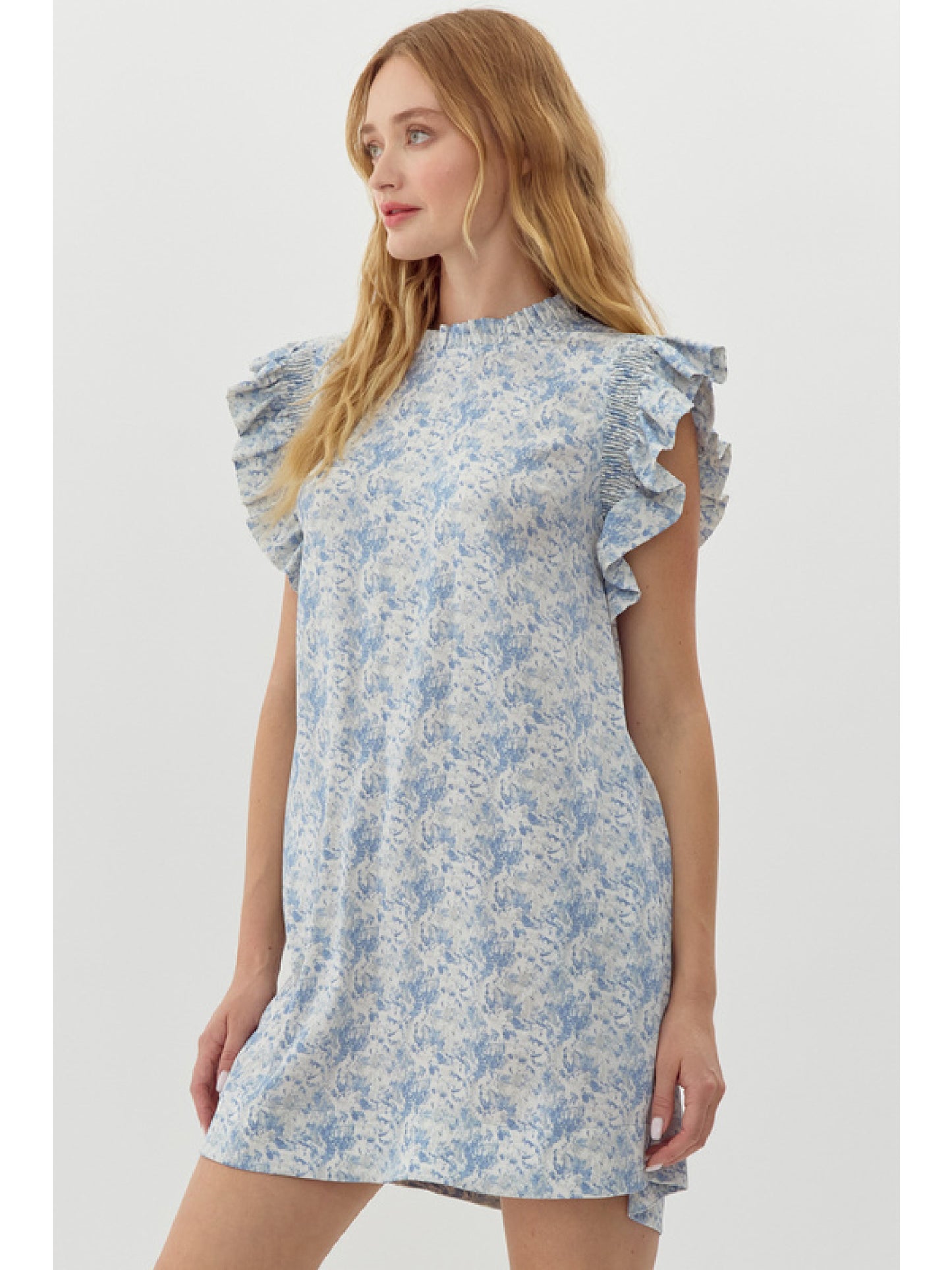 Blue Frills Dress