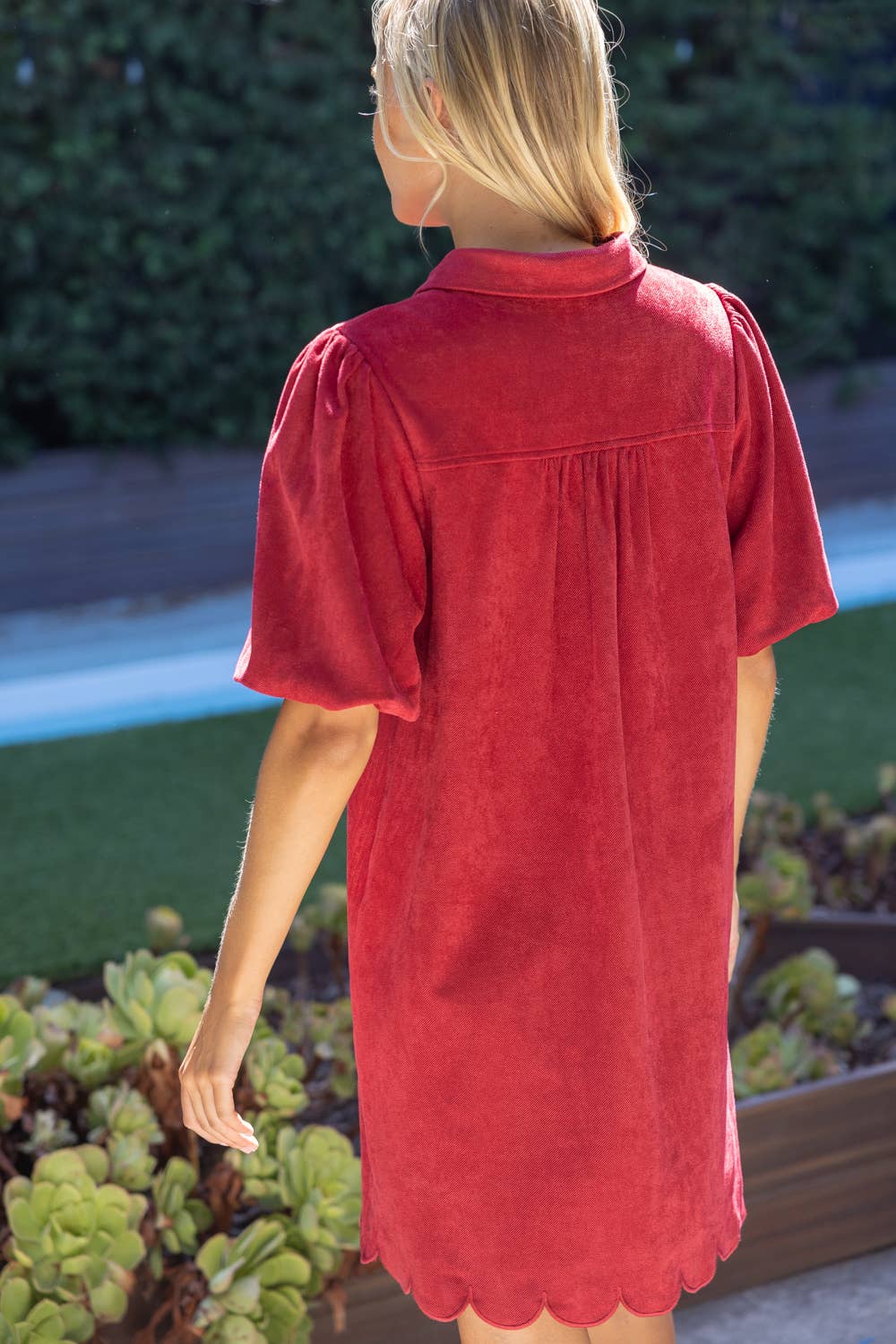 Scallop Detail Cover Button Collared Shift Dress: Burgundy