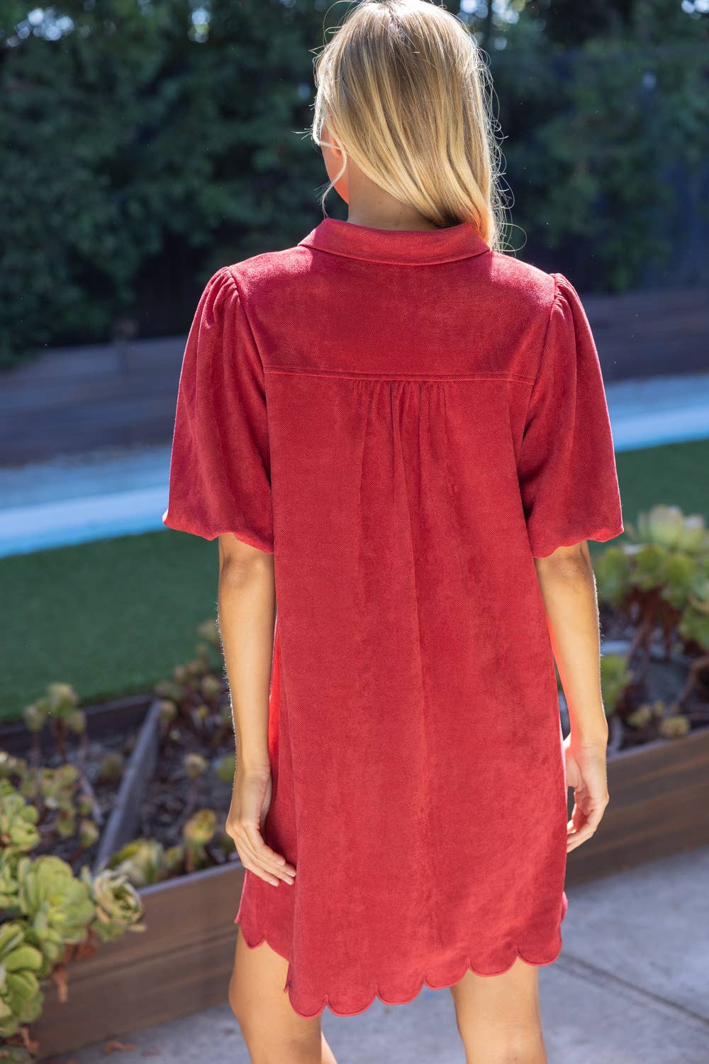 Scallop Detail Cover Button Collared Shift Dress: Burgundy